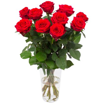 15 Red Roses in Vase