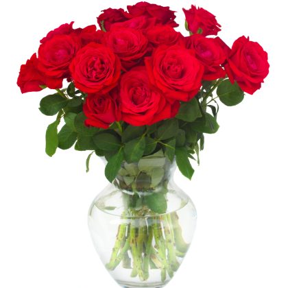 15 Red Roses