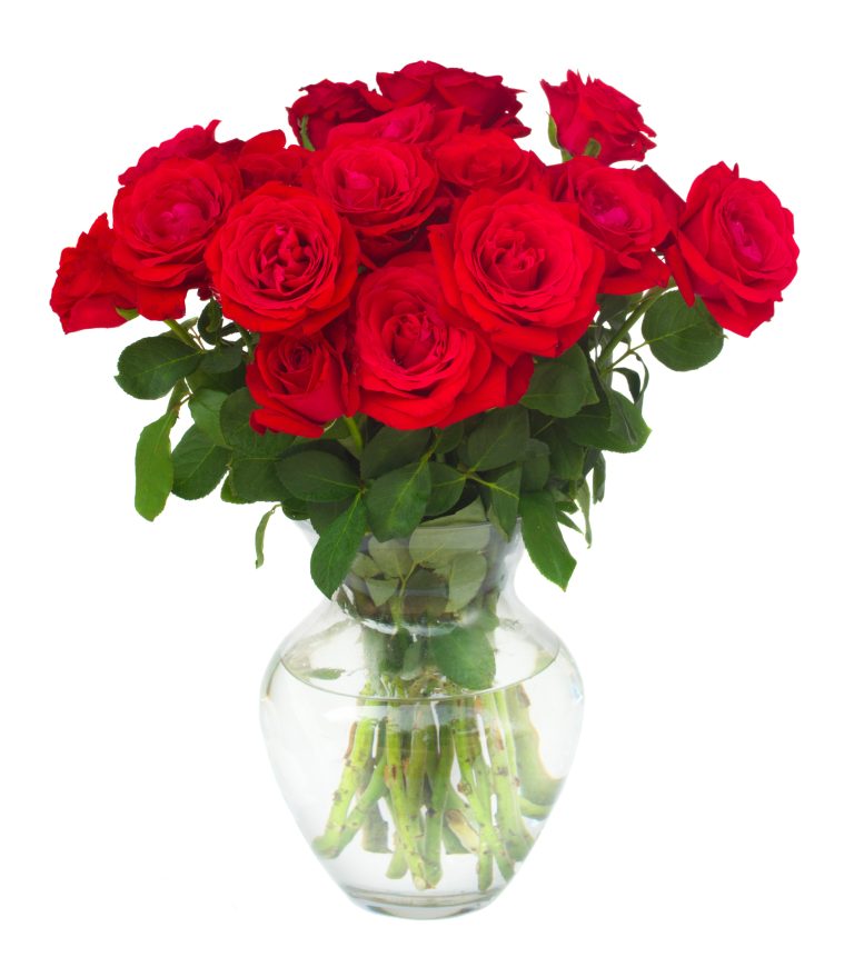 15 Red Roses