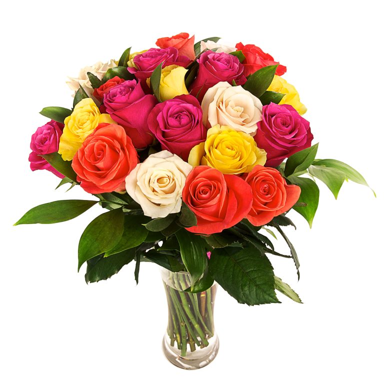 Mixed Rose in a vase