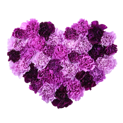 Purple heart flower arrangement