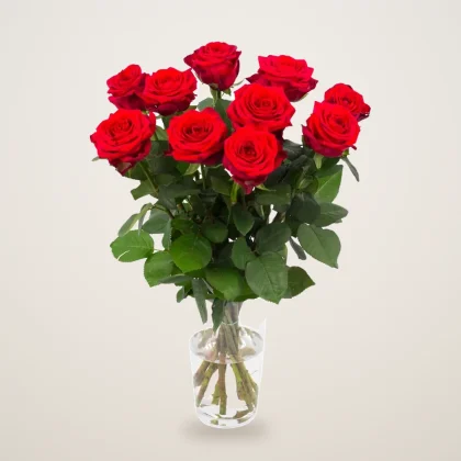 10 Blossoms of Joy - flowers delivered in Dubai | 800petals