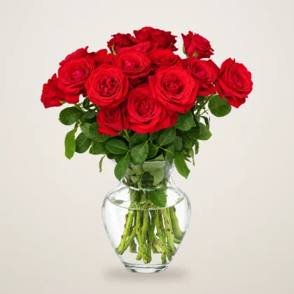 15 Red Roses - flowers delivered in Dubai | 800petals