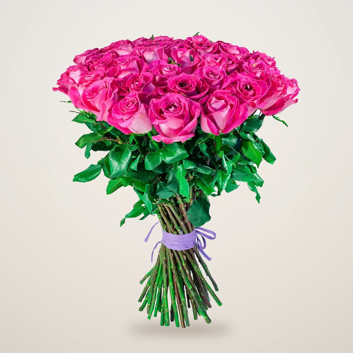 Hand-tied bouquet of hot pink roses with a lilac ribbon