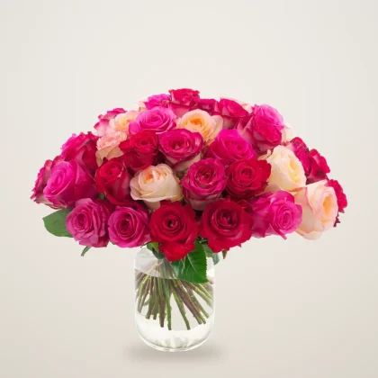 Mixed roses in vase with magenta, crimson and bi-colour roses