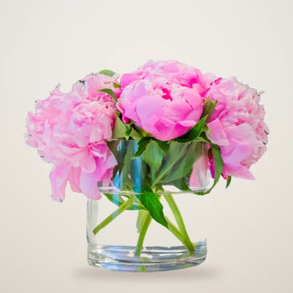 Dreamy Peonies - flowers delivered in Dubai | 800petals
