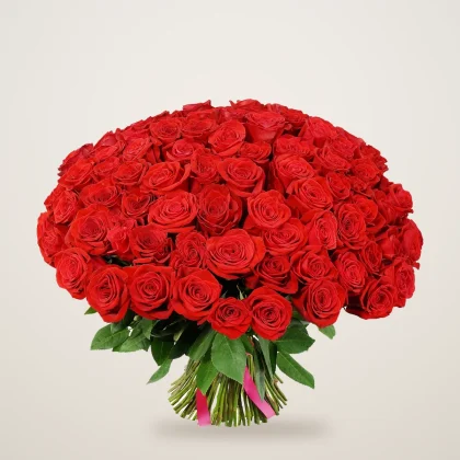 Large red rose bouquet of premium red roses hand tied with a red ribbon