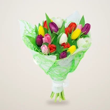 Mixed tulips in red, pink, yellow and purple wrapped in green paper