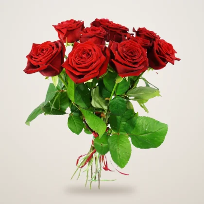 Hand-tied bouquet of nine red roses with a red ribbon