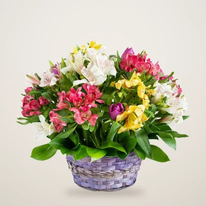 Alstroemeria basket with pink, white and yellow alstroemeria in a lavender woven basket