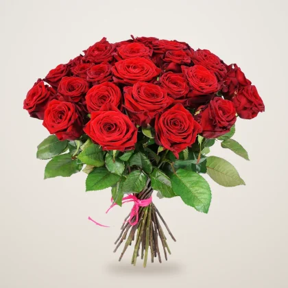 Red rose bouquet of fresh red roses hand tied with a pink ribbon