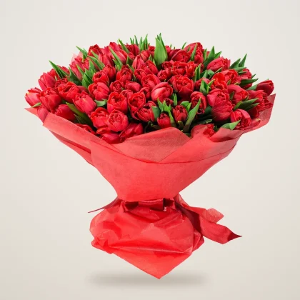Red tulip bouquet of fresh red tulips in red wrapping paper