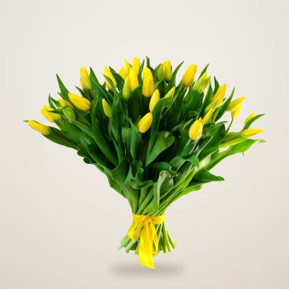 Hand-tied bunch of yellow tulips with a yellow ribbon